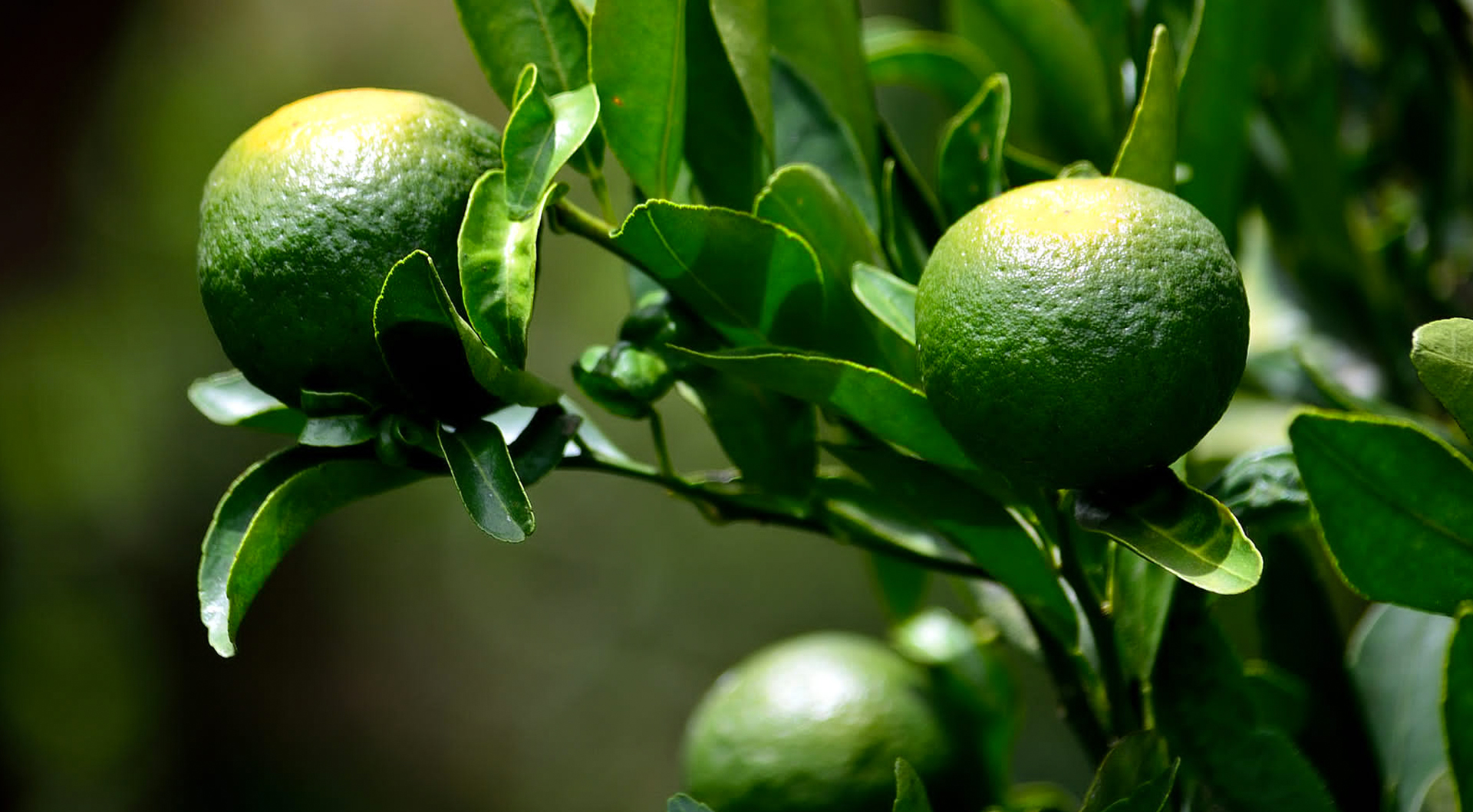 首页- 腾博官网诚信为本,专业服务!