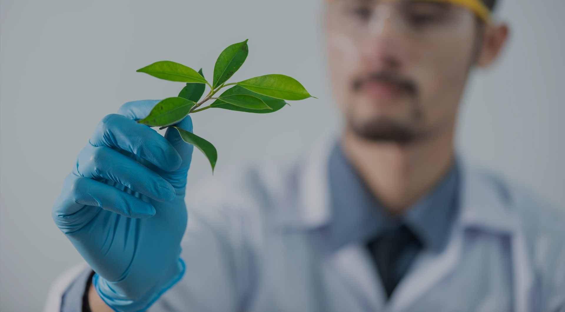 首页- 腾博官网诚信为本,专业服务!