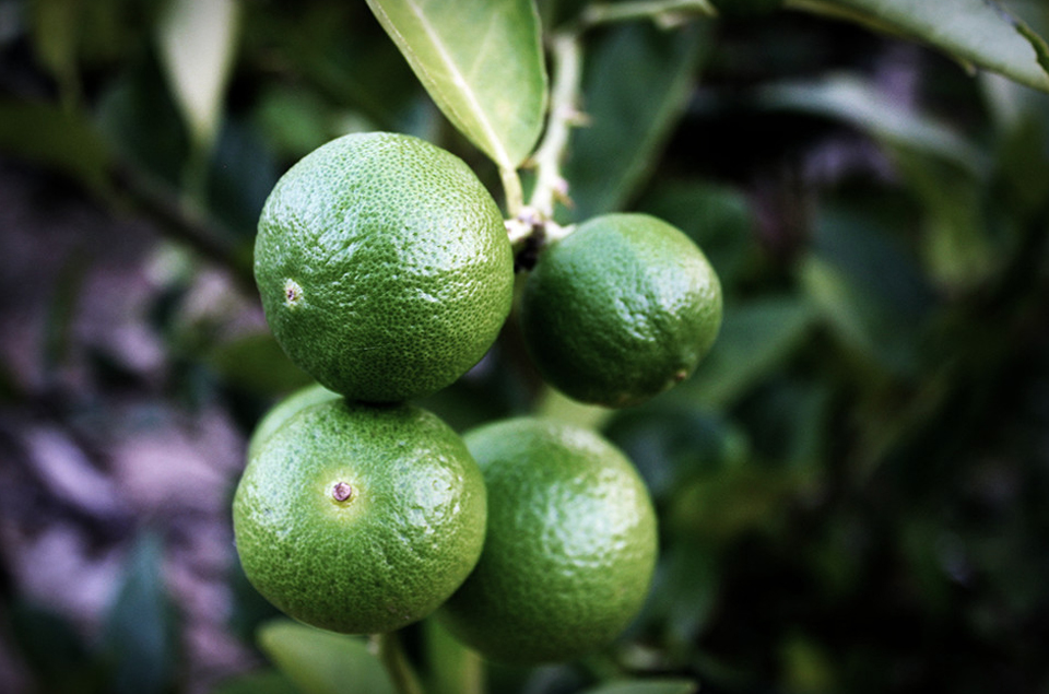 首页- 腾博官网诚信为本,专业服务!