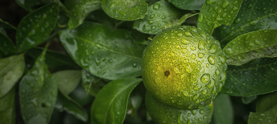 首页- 腾博官网诚信为本,专业服务!